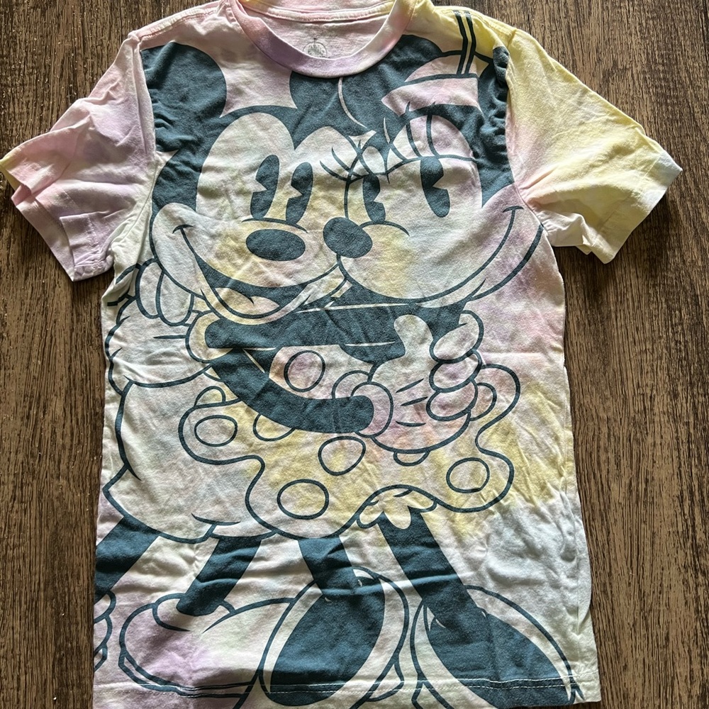Walt Disney World Tye Dye Tee